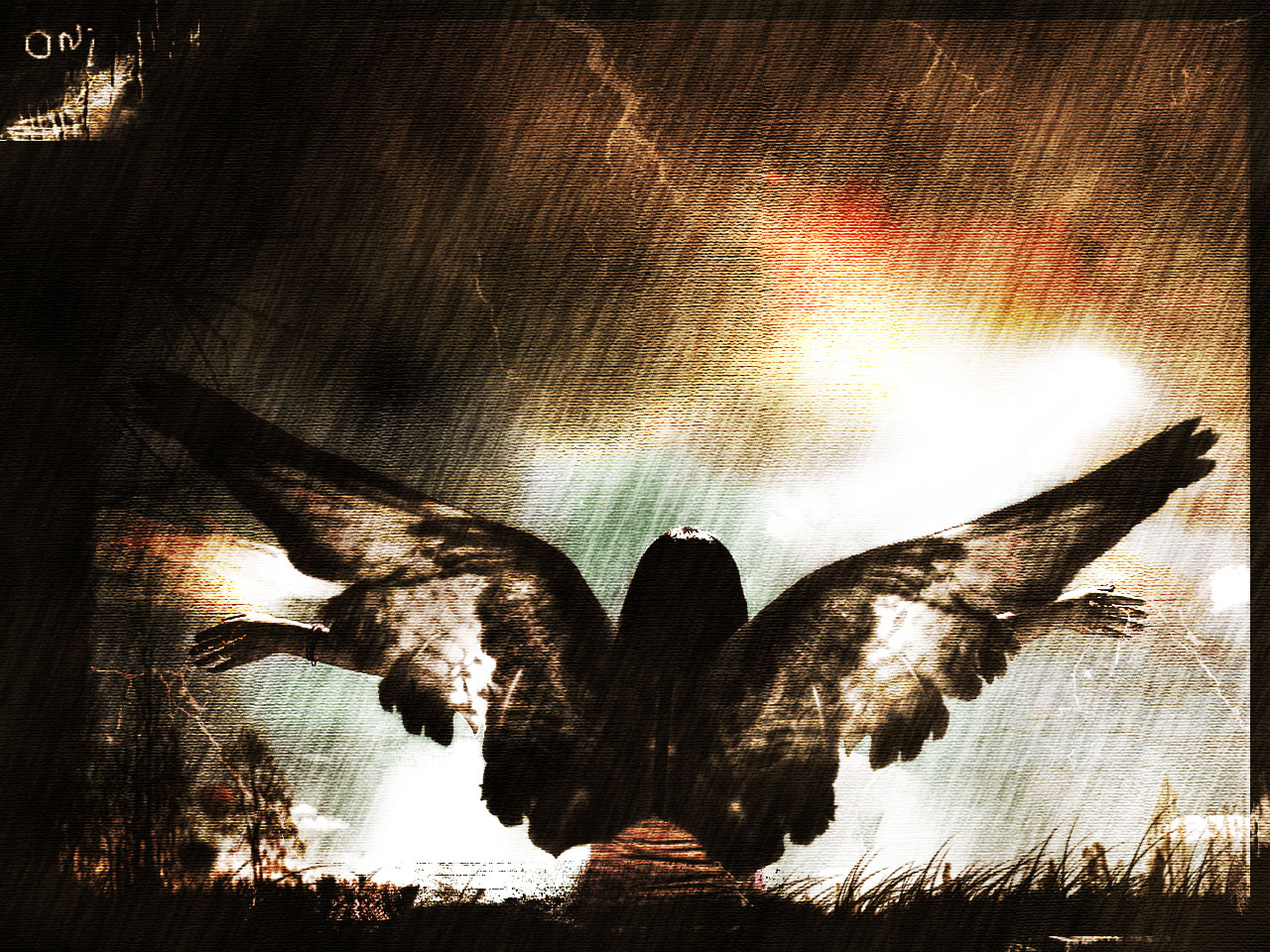 Anjo 3 by walteraguiar