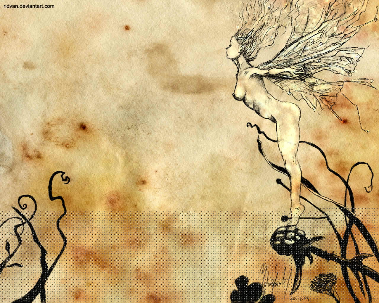 Faerie by ridvan