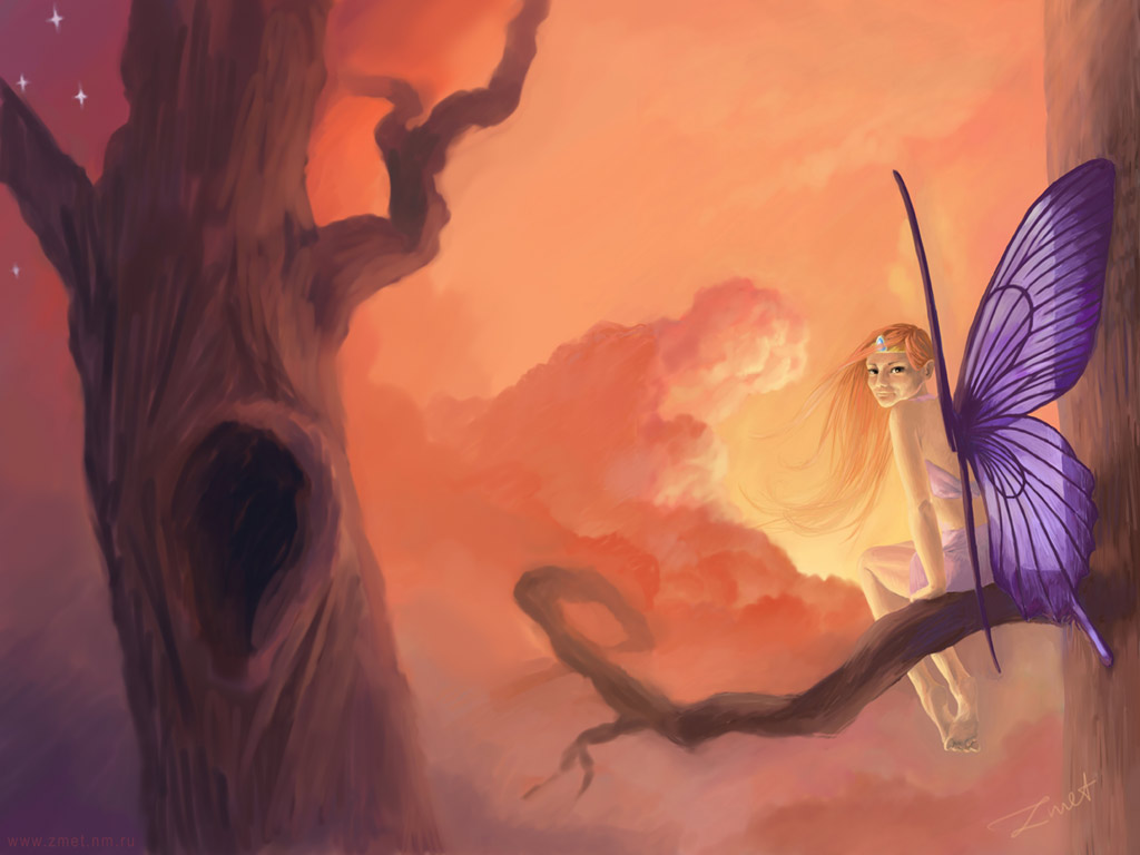Sunset by zmet